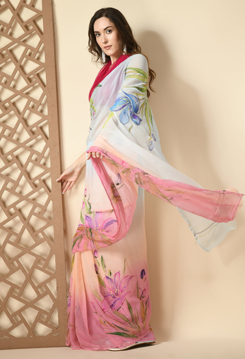 Alia Multi Hue Hand Painted Chiffon Saree